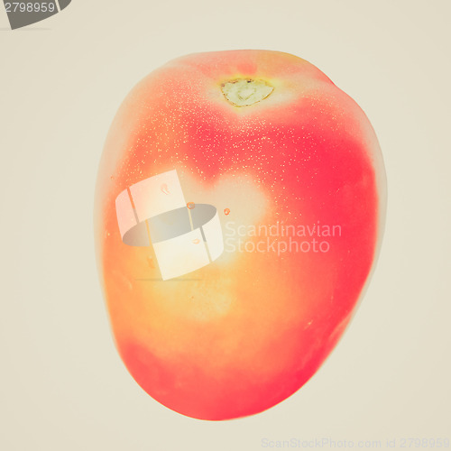 Image of Retro look Tomato isolated