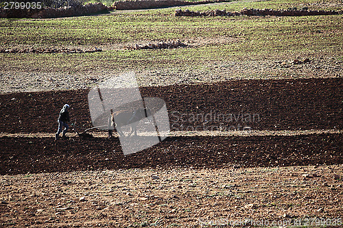 Image of Landscape in Morocco