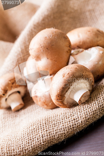 Image of Fresh brown Agaricus mushrooms