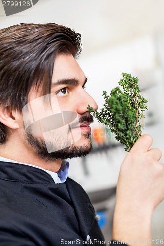 Image of Chef checking the freshness of a bunch of herbs