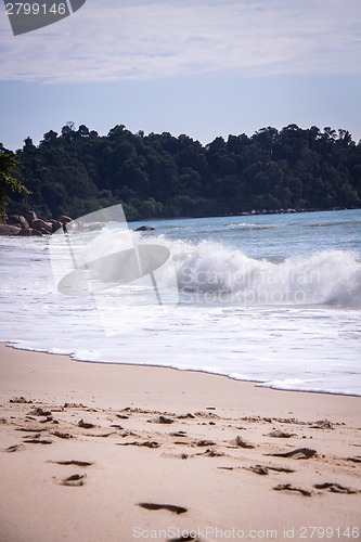 Image of Beautiful tropical beach with lush vegetation