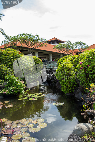 Image of Person swimming in a pool in Bali