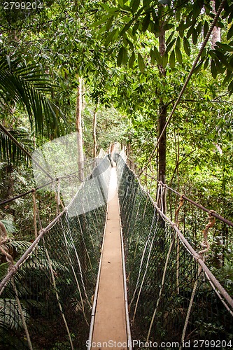 Image of Narrow cable suspension footbridge