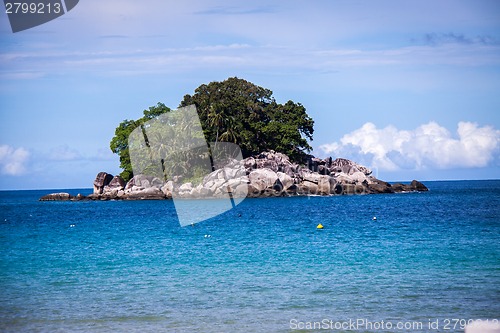 Image of Beautiful tropical beach with lush vegetation