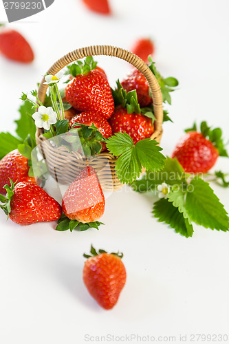 Image of Fresh ripe strawberries with leaves and blossom