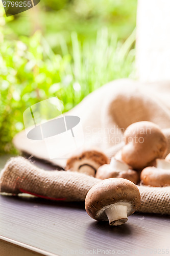 Image of Fresh brown Agaricus mushrooms