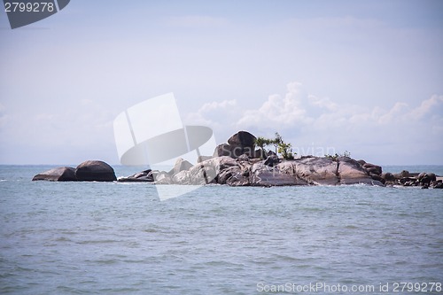 Image of Beautiful tropical beach with lush vegetation