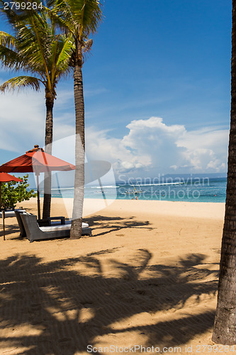 Image of Beach umbrellas on a beautiful beach in Bali