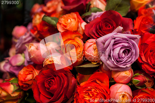 Image of Bunches of colorful roses