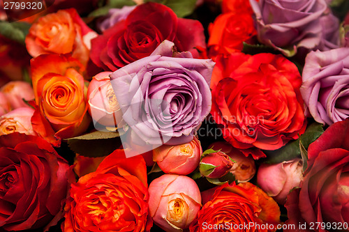 Image of Bunches of colorful roses