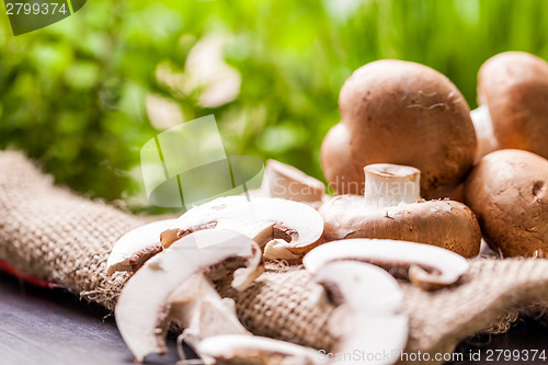 Image of Fresh brown Agaricus mushrooms