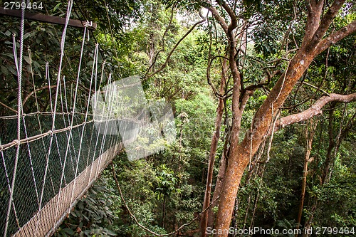 Image of Narrow cable suspension footbridge