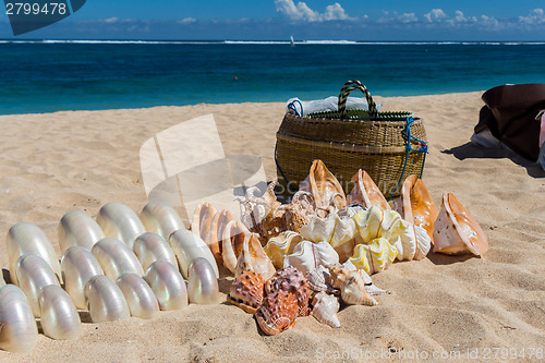 Image of Conchs and seashells for sale on a beach