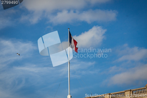 Image of Flag of France fluttering under a serene blue sky