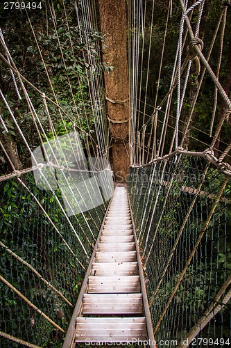 Image of Narrow cable suspension footbridge