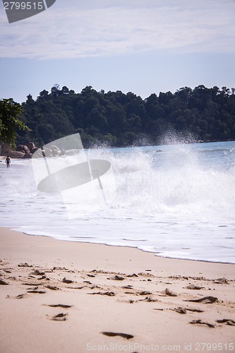 Image of Beautiful tropical beach with lush vegetation