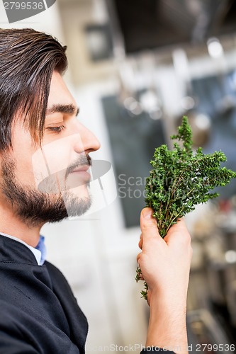 Image of Chef checking the freshness of a bunch of herbs