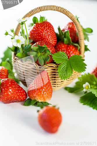 Image of Fresh ripe strawberries with leaves and blossom