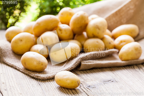 Image of Farm fresh  potatoes on a hessian sack