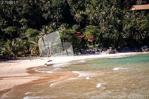 Image of Beautiful tropical beach with lush vegetation