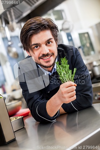 Image of Chef checking the freshness of a bunch of herbs