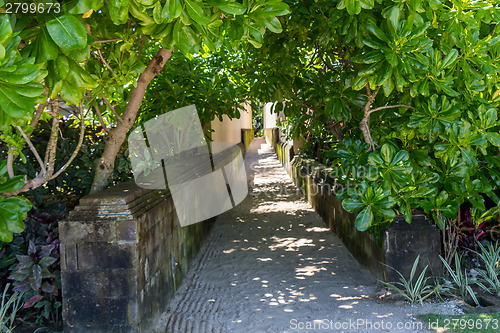 Image of Quiet village lane with lush vegetation in Bali