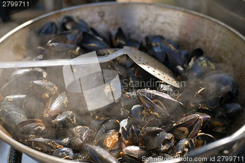 Image of Mussels