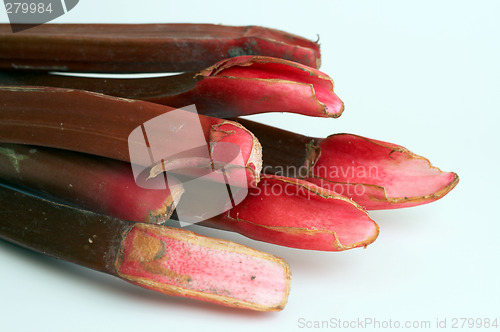 Image of Rhubarb