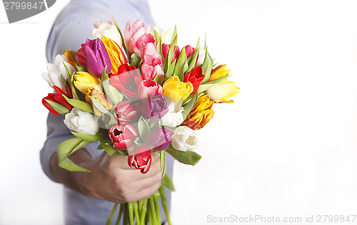 Image of A hand full of colorful tulips