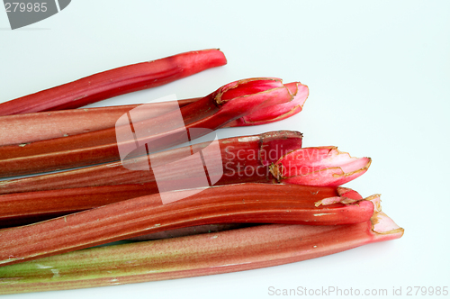 Image of Rhubarb