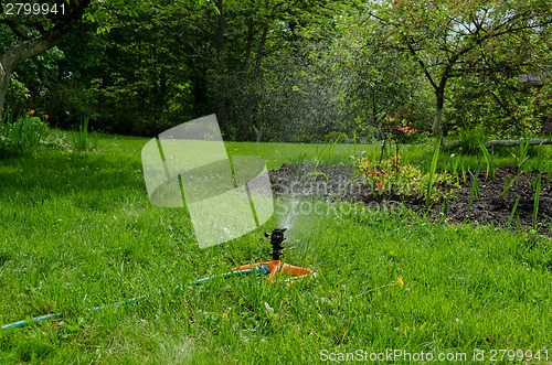 Image of sprinkling irrigation on the grass  