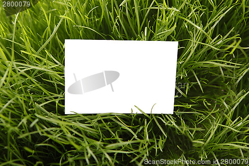 Image of Greeting card in the grass