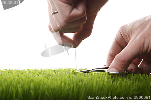 Image of Young man cuts English lawn