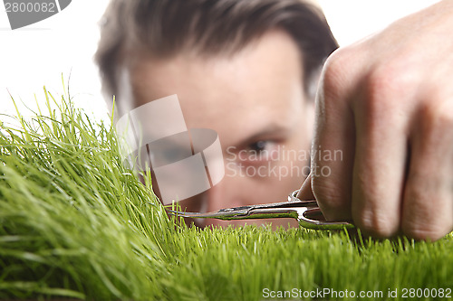 Image of Young man cuts English lawn