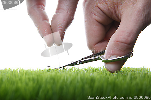 Image of Young man cuts English lawn