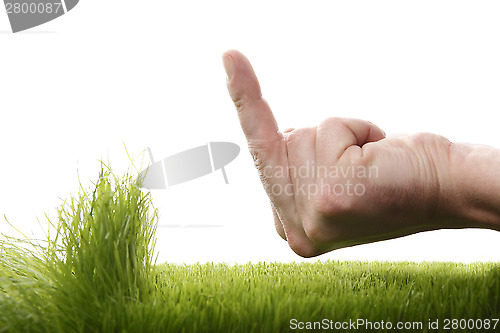 Image of Young man is annoyed about growing grass