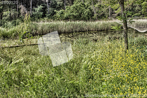 Image of Fishing hut on the lagoon