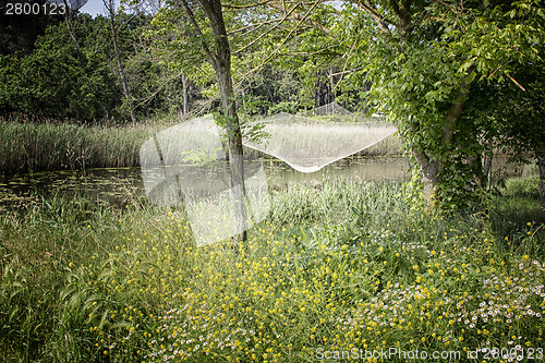 Image of Fishing hut on the lagoon