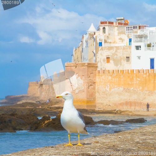 Image of Essaouira - Magador, Marrakech, Morocco.