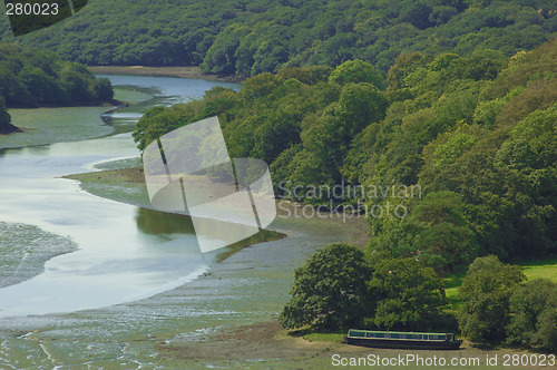 Image of Peaceful Forest River