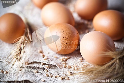 Image of  fresh brown eggs and wheat ears 