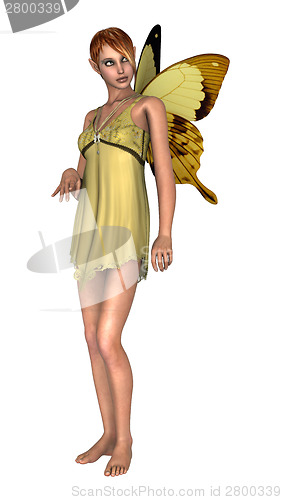 Image of Fairy Butterfly