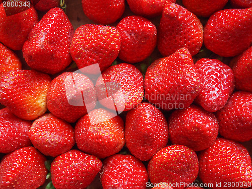 Image of Strawberries fruits