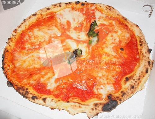 Image of Pizza Margherita