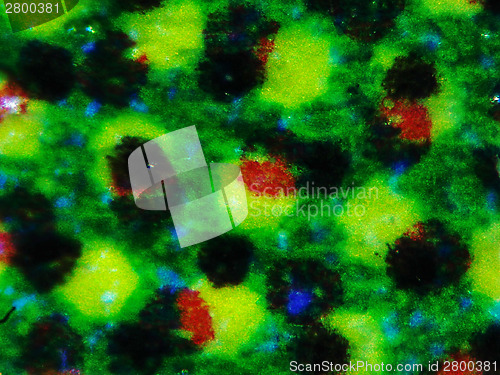 Image of Halftone micrograph