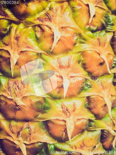 Image of Retro look Pineapple picture