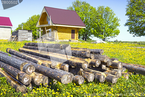 Image of Wooden house in the meadow with dandelions. Russia