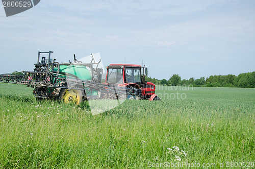 Image of tractor fertilizing wheat field in summer day   