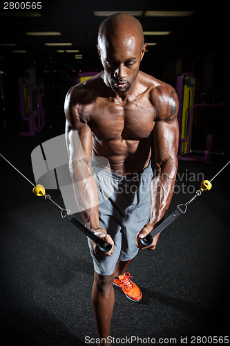 Image of Fitness Cable Machine Weight Training