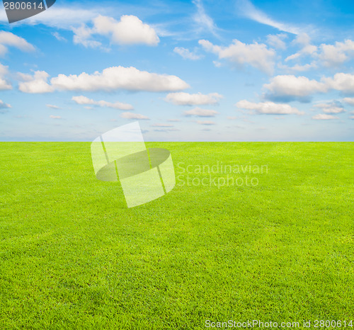 Image of Field and Sky